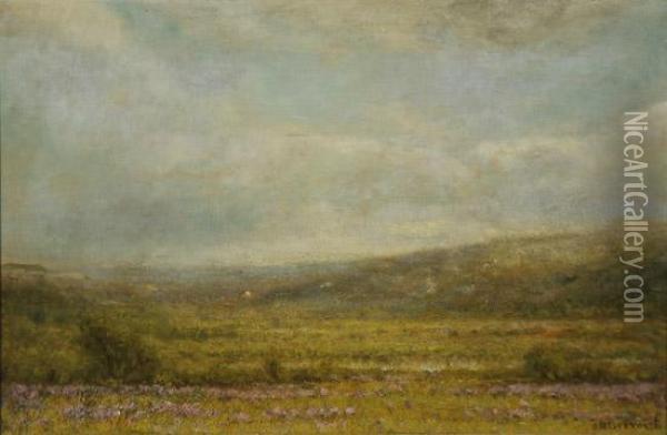 Rain, Mist And Sunshine On A Moor Oil Painting - James Renwick Brevoort