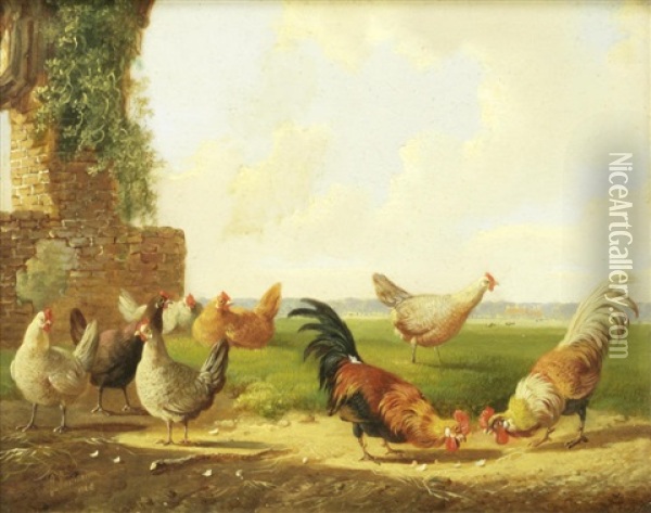 Farmyard Scenes With Poultry (4 Works) Oil Painting - Albertus Verhoesen