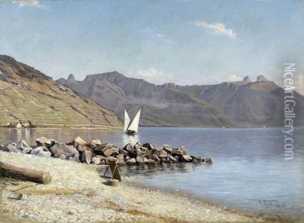 Uferpartie Im Lavaux Mit Rochers-de-naye Oil Painting - Arthur Herzog