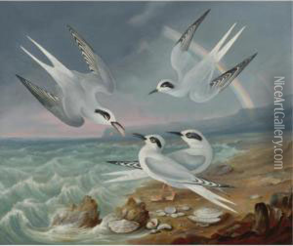Havell Terns At The Shore Oil Painting - Robert Ii Havell