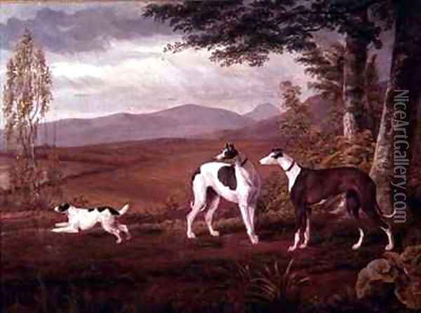 Greyhounds in a Landscape Oil Painting - George Garrard