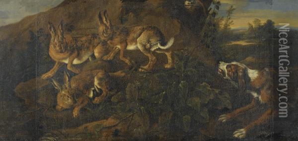 A Hound Chasing Three Hares Oil Painting - Jan Fyt