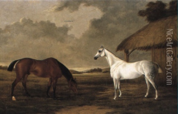 A Bay And A Grey Horse Grazing Beside A Stable Oil Painting - Frederick Clarke
