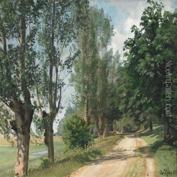 A Sunny Country Road Oil Painting - Christian Zacho