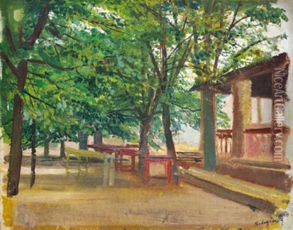 Garden Of Szep Juhaszne Oil Painting - Laszlo Mednyanszky