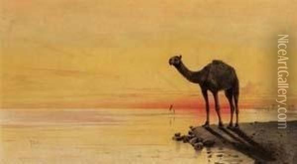 Cammello Sul Nilo Oil Painting - Raffaele Mainella