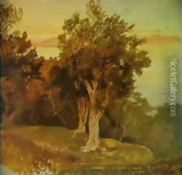 Olive Trees Corfu Oil Painting - Edward Lear