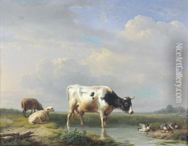 Weidelandschaft Mit Kuh Und Schafen. Oil Painting - Eugene Joseph Verboeckhoven