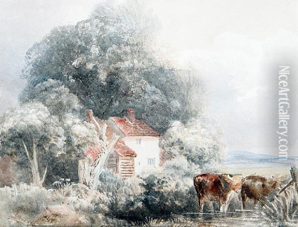 Cattle Watering Before A Cottage Oil Painting - Peter de Wint