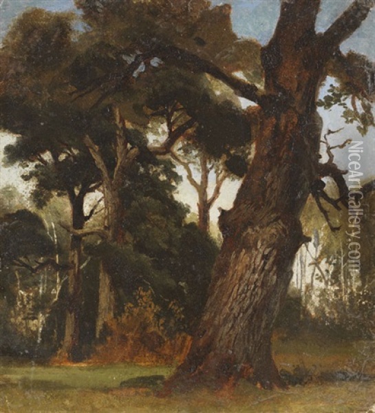 Kleine Parkansicht (studie) Oil Painting - Christian Friedrich Gille
