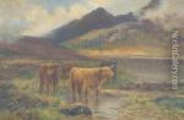 Highland Cattle In A Loch Oil Painting - Daniel Sherrin