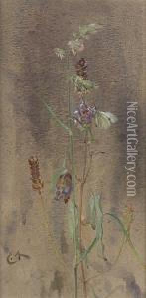 Prunella And White Butterfly Oil Painting - Edwin John Alexander