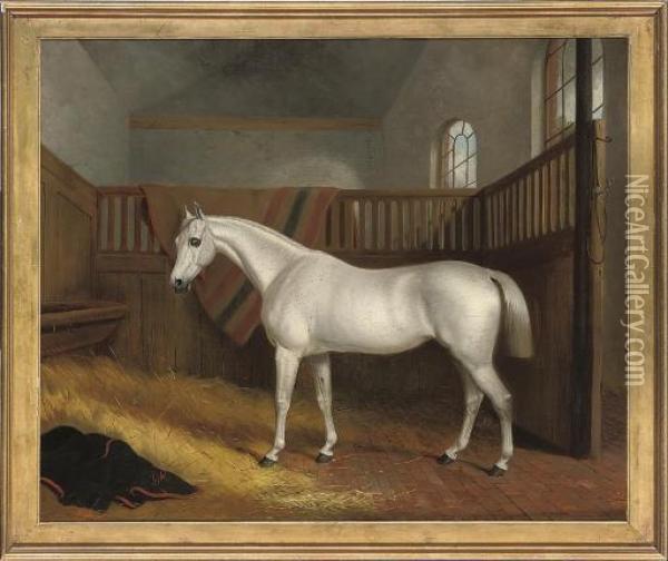 A Grey Hunter In A Stable Oil Painting - John Paul