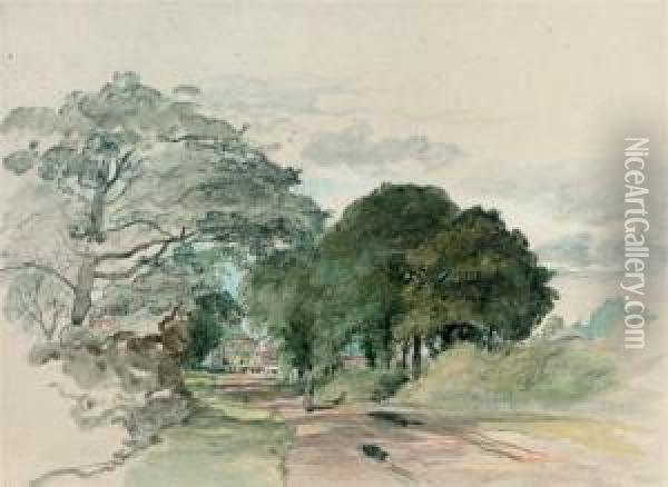A Country Lane (illustrated); And Study Of Trees Oil Painting - William Collins