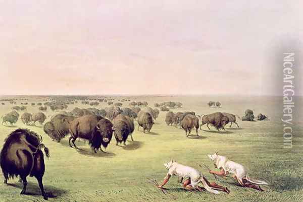 Hunting Buffalo Camouflaged with Wolf Skins, c.1832 Oil Painting - George Catlin