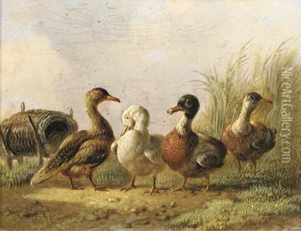 Ducks Oil Painting - Albertus Verhoesen