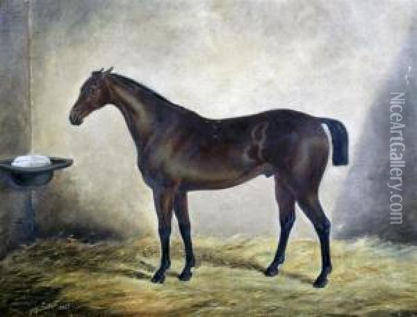 Race Horse In A Stable Oil Painting - J. Quinton