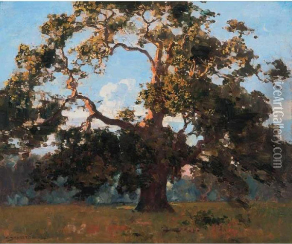 The Oak, Vancouver Island Oil Painting - Arthur Ernest Streeton