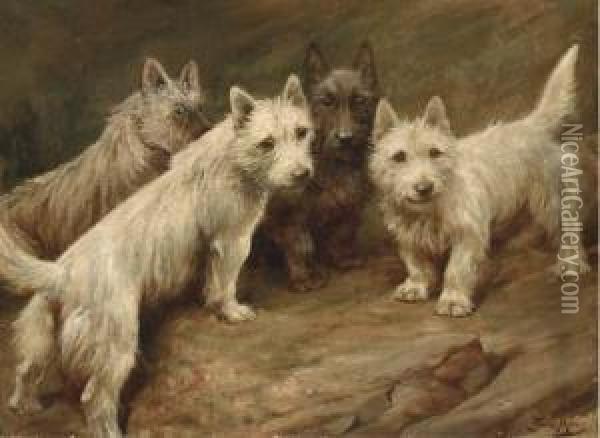 Four Cairn Terriers Oil Painting - Fannie Moody