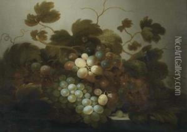Fruit Still Life With Grapes. Oil Painting - Roloef Koets