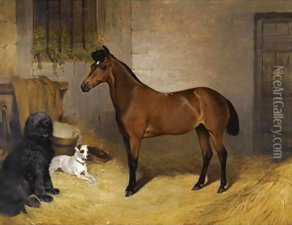 A Chestnut Horse With A Sheepdog And Terrier In A Stable Oil Painting - John Charlton