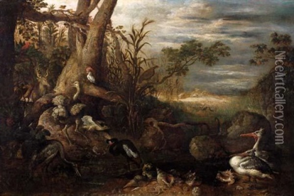 Cerf, Autruche, Herons, Pelicans Et Perroquets Oil Painting - Roelandt Savery