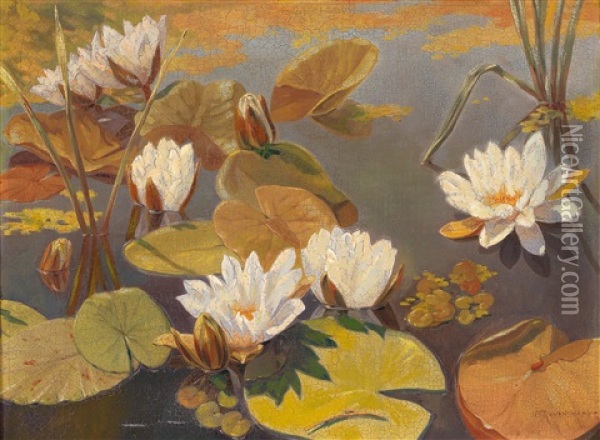Water Lilies Oil Painting - Marie Ravenswaaij