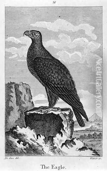 The Eagle, from A History of the Earth and Animated Nature, by Oliver Goldsmith, published in London, 1816 Oil Painting - Jacques de Seve