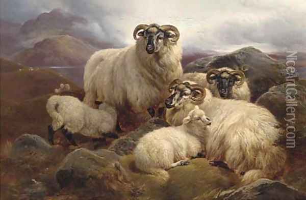 Sheep on the Welsh hills Oil Painting - William Watson