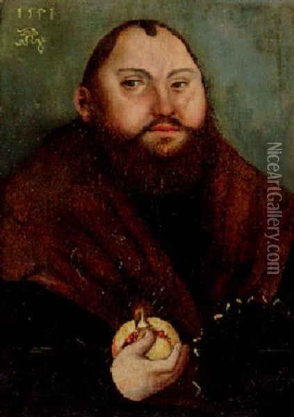Portrait Of The Elector John Frederick Of Saxony, Bust Length, In Black Coat And Fur Collar, Holding A Pomegranate Oil Painting - Lucas Cranach the Elder