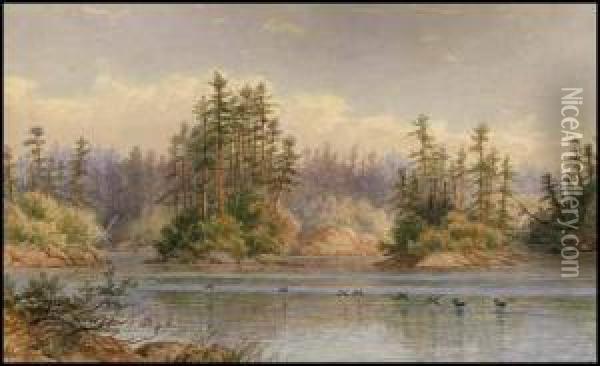 Loons, Lake Of The Woods Oil Painting - Frederick Arthur Verner