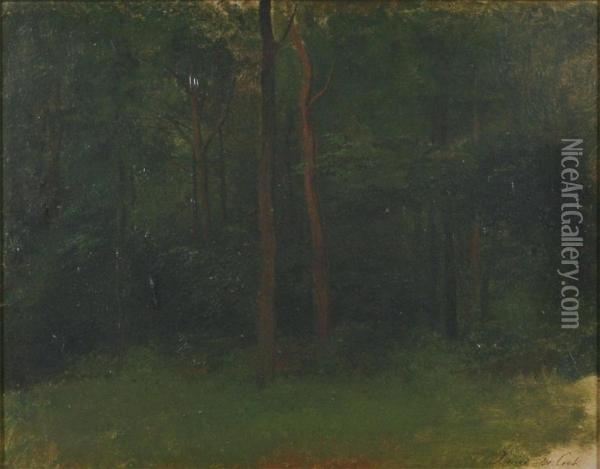 Study For Wooded Landscape Oil Painting - Xavier De Cock