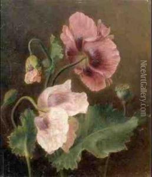 A Study Of Flowers Oil Painting - Adele Riche