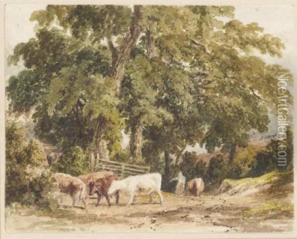 A Drover And Cattle In A Wooded Lane Oil Painting - Robert Hills
