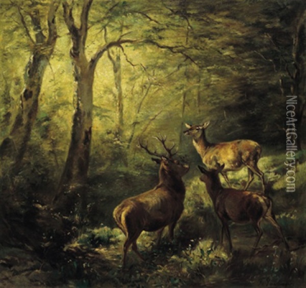 Rotwild Im Waldesinneren Oil Painting - Franz Xaver von Pausinger