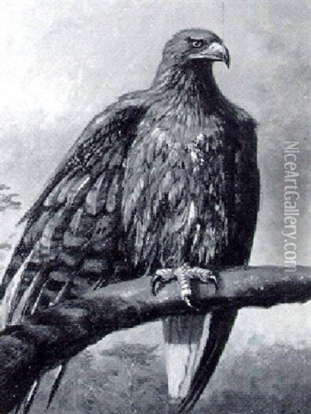 An Eagle Oil Painting - Ernest Henri Griset