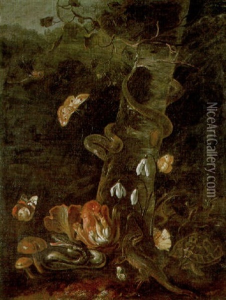 Snakes, A Lizard And A Tortoise Amid Mushrooms In The Undergrowth Oil Painting - Paolo Porpora