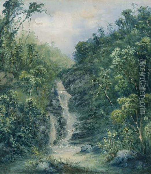 The Waterfall At Tijuca, Rio De Janeiro Oil Painting - Friedrich Hagedorn
