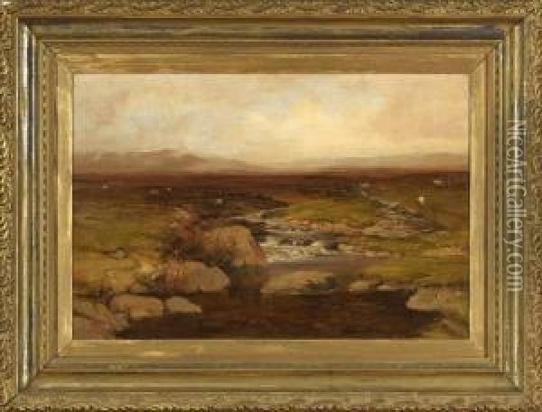 Landscape With A Stream And Grazing Sheep Oil Painting - Clarence Roe