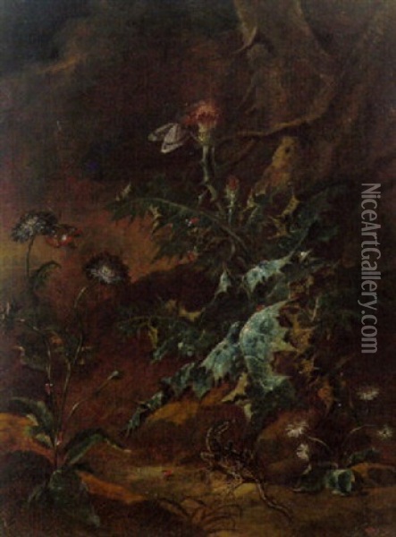 Waldstuck Mit Eidechsen Und Schmetterlingen Oil Painting - Otto Marseus van Schrieck