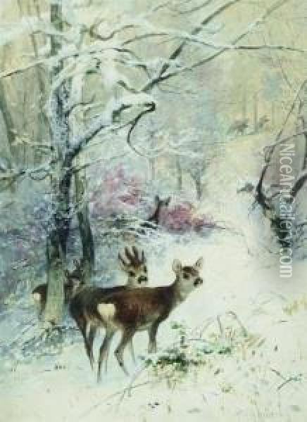 Rehe Im Winterwald Oil Painting - Christian Johann Kroner
