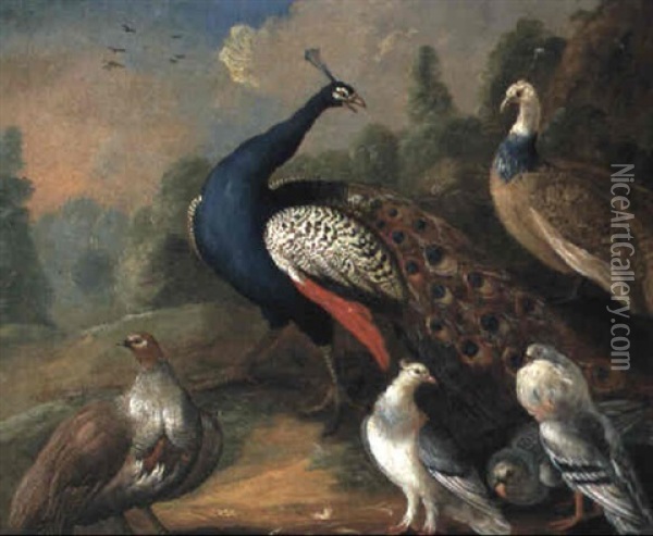 A Peacock, A Peahen, A Partridge And Pigeons In A Landscape Oil Painting - Marmaduke Cradock