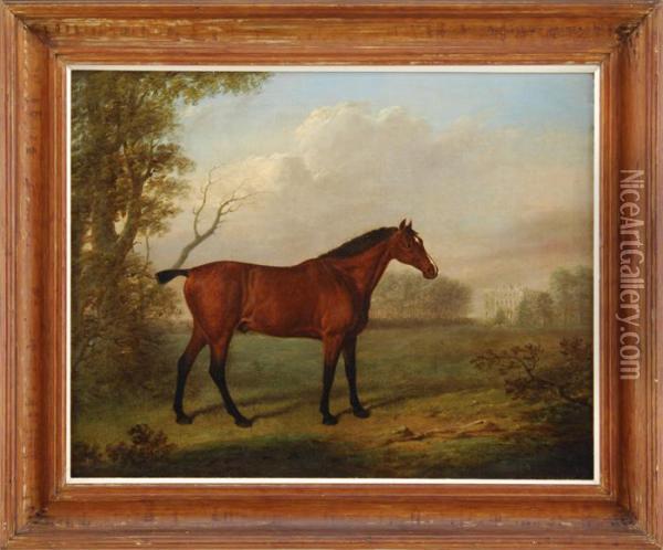 Portrait Of A Brown Horse Oil Painting - George Stubbs