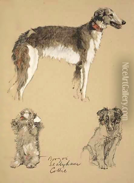 Barzoi, Sealyham and Collie Oil Painting - Cecil Charles Aldin