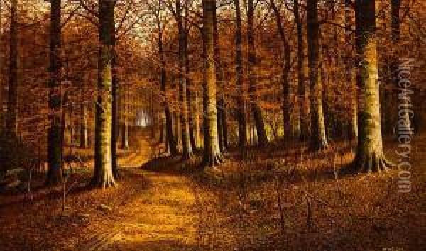 Forest Interior Oil Painting - William Mckendree Snyder