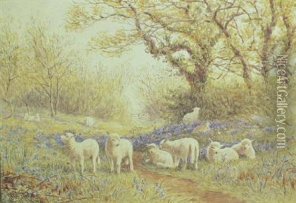 Sheep Grazing In Aflowering Meadow Oil Painting - John Carlisle