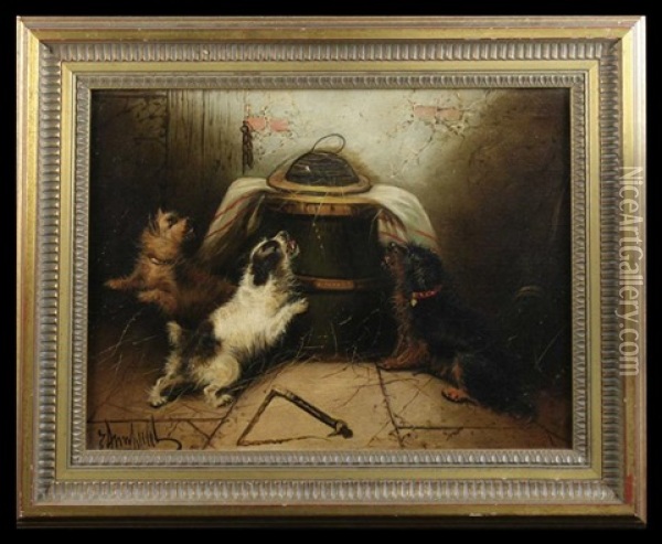 Three Terriers (3 Works) Oil Painting - George Armfield