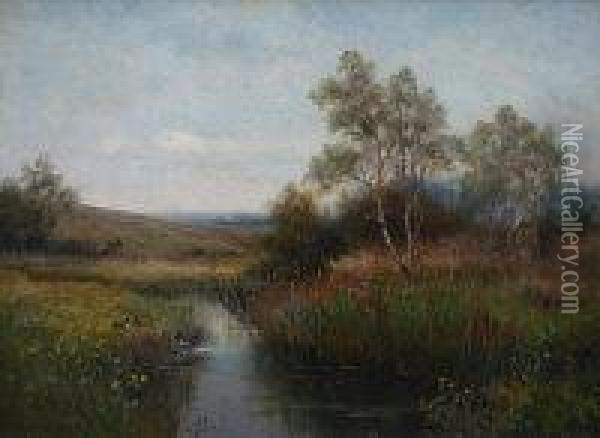 Rural River Landscape With Mallard Rising Oil Painting - Thomas Tayler Ireland