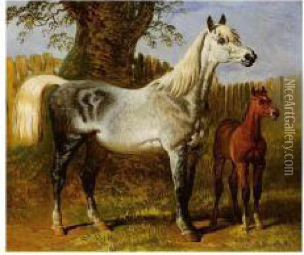 A Grey Mare And Foal Oil Painting - Hugh Newell