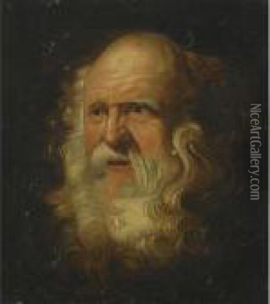 Study Of A Bearded Man Oil Painting - Peter Paul Rubens